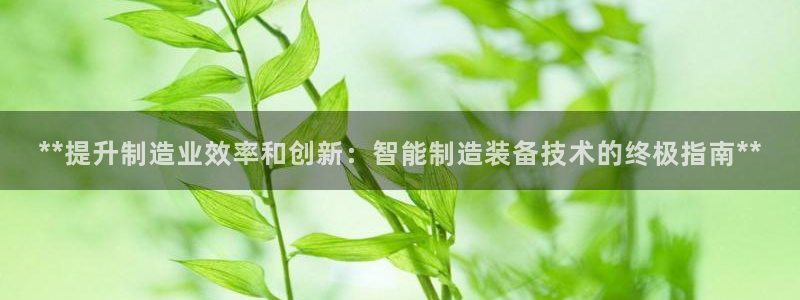 新版彩神v8登录不上去：**提升制造业效率和创新：智能制造装备技术的终极指南**