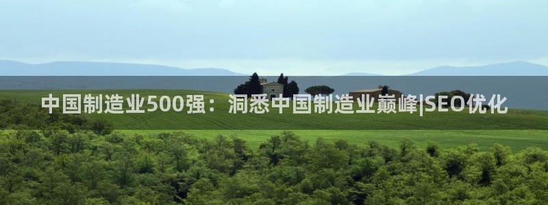 彩神是正规平台吗：中国制造业500强：洞悉中国制造业巅峰|SEO优化