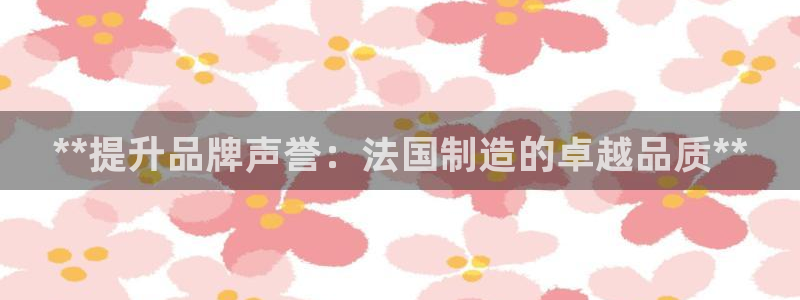 彩神是怎样一个平台赚钱的：**提升品牌声誉：法国制造的卓越品质**