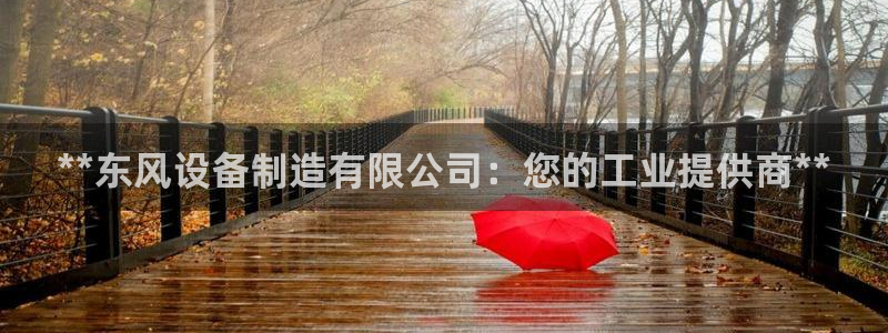 彩神8是正规平台吗知乎：**东风设备制造有限公司：您的工业提供商**