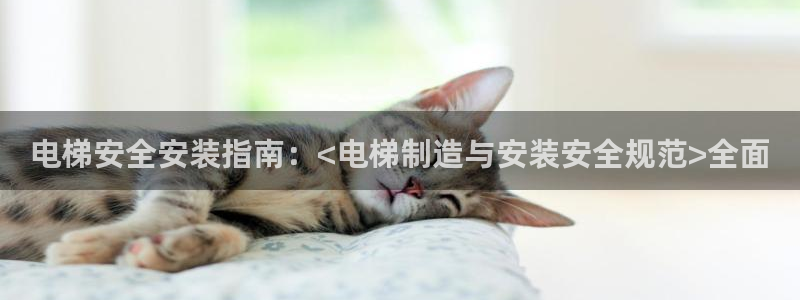 彩神是正规平台吗知乎：电梯安全安装指南：<电梯制造与安装安全规范>全面