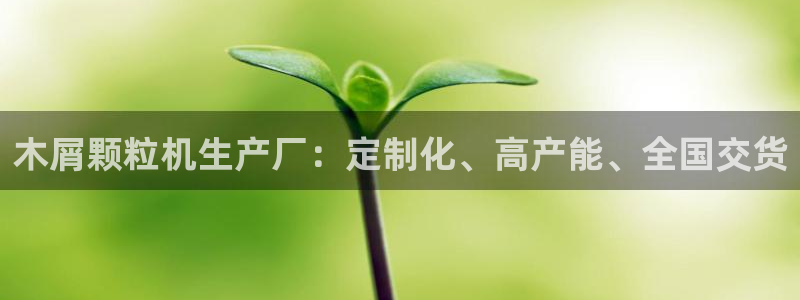 彩神v彩搜狗：木屑颗粒机生产厂：定制化、高产能、全国交货