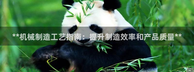 彩神v8是真的挣钱吗知乎：**机械制造工艺指南：提升制造效率