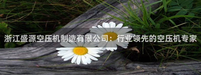 彩神v8平台正规吗可靠吗：浙江盛源空压机制造有限公司：行业领