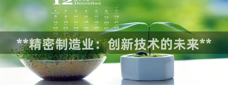 彩神大发三期计划网站：**精密制造业：创新技术的未来**