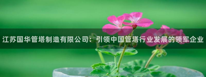 彩神8是正规平台吗安全吗