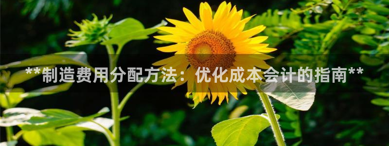 彩神ix可靠吗：**制造费用分配方法：优化成本会计的指南**