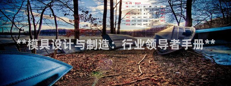 彩神是真的吗：**模具设计与制造：行业领导者手册**