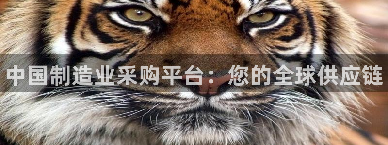 彩神vi官网版：中国制造业采购平台：您的全球供应链
