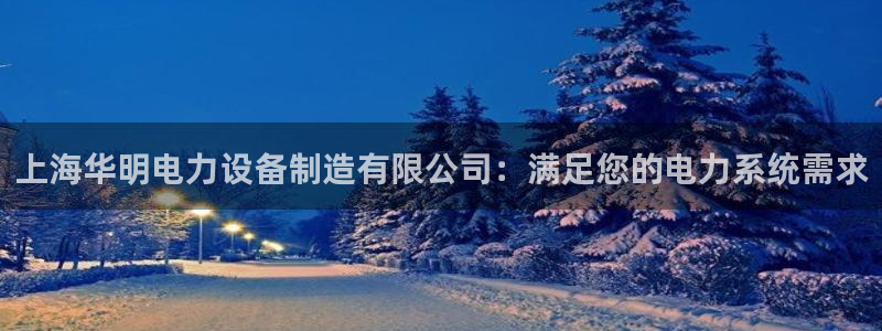 彩神大发官网：上海华明电力设备制造有限公司：满足您的电力系统