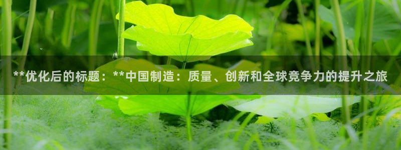 彩神赢的钱是哪里来的：**优化后的标题：**中国制造：质量、