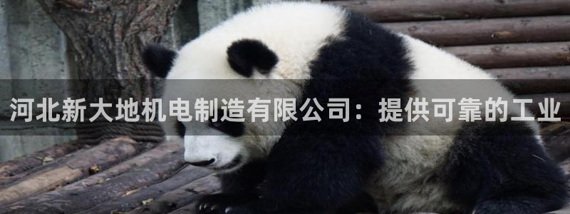 彩神vll首页环球：河北新大地机电制造有限公司：提供可靠的工