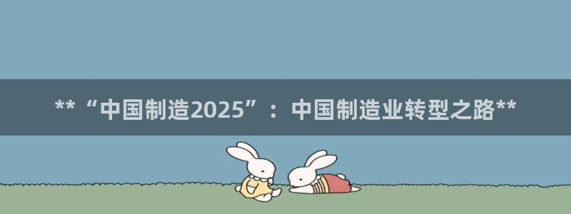 彩神赢了钱登录不上去：**“中国制造2025”：中国制造业转型之路**