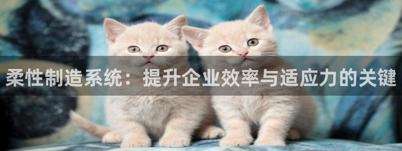 彩神8彩平台官网：柔性制造系统：提升企业效率与适应力的关键