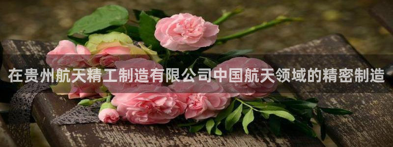彩神旗下有哪些平台可以看：在贵州航天精工制造有限公司中国航天领域的精密制造