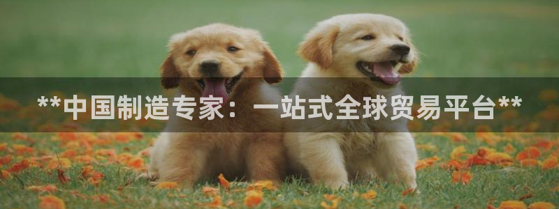 彩神争霸老平台：**中国制造专家：一站式全球贸易平台**