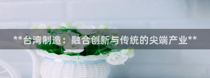 彩神趣购彩用户注册：**台湾制造：融合创新与传统的尖端产业*