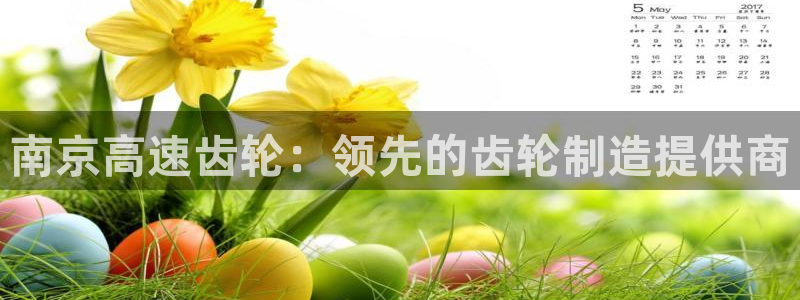 彩神velcome购彩大厅：南京高速齿轮：领先的齿轮制造提供商