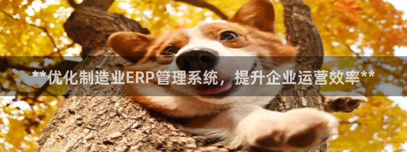 彩神v8app：**优化制造业ERP管理系统，提升企业运营效