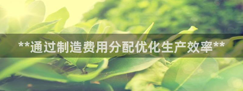 下载彩神争霸谁与我争锋：**通过制造费用分配优化生产效率**
