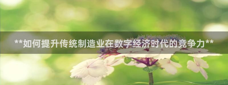 彩神v秘聊号码：**如何提升传统制造业在数字经济时代的竞争力**