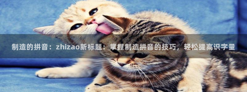 彩神vll首页企业文化：制造的拼音：zhizao新标题：掌握制造拼音的技巧，轻松提高识字量
