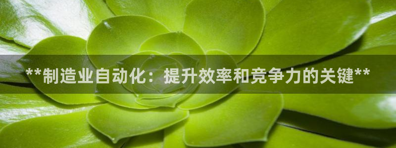 彩神8官网版：**制造业自动化：提升效率和竞争力的关键**