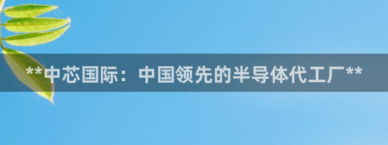 彩神v破解版：**中芯国际：中国领先的半导体代工厂**