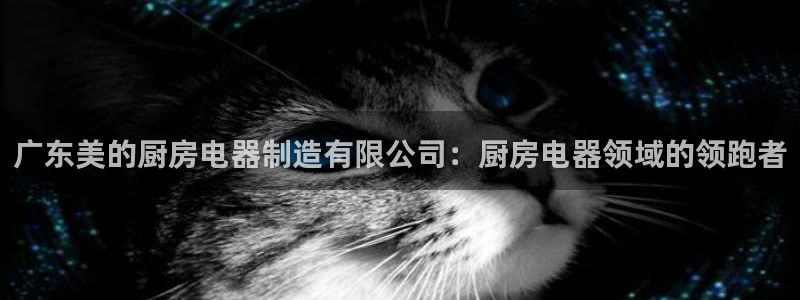 下载彩神v8：广东美的厨房电器制造有限公司：厨房电器领域的领跑者