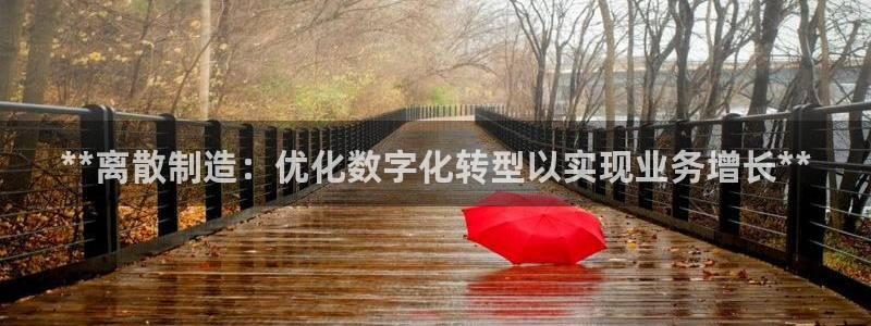 彩神v8下载app5.0：**离散制造：优化数字化转型以实现