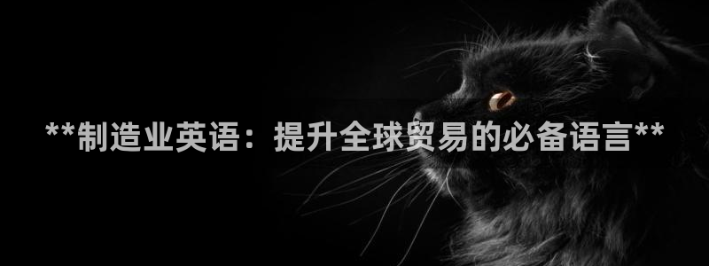 彩神v8首页：**制造业英语：提升全球贸易的必备语言**