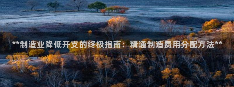 彩神Vii购彩-购彩大厅：**制造业降低开支的终极指南：精通制造费用分配方法**