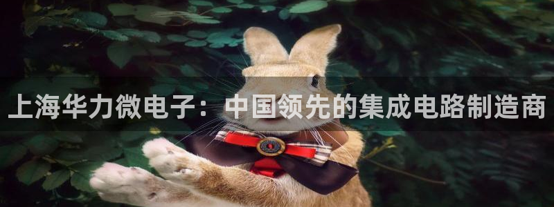 彩神是怎样一个平台赚钱的：上海华力微电子：中国领先的集成电路