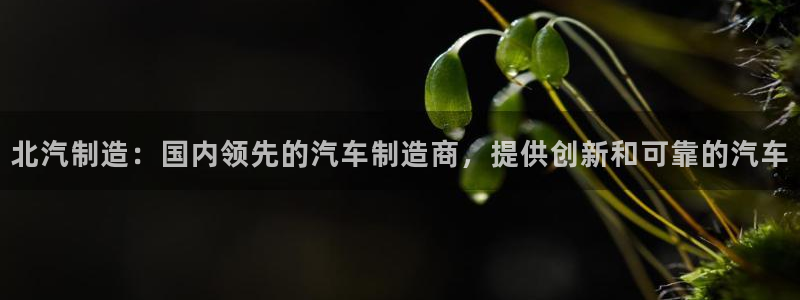 彩神网能赚钱是怎么回事：北汽制造：国内领先的汽车制造商，提供创新和可靠的汽车