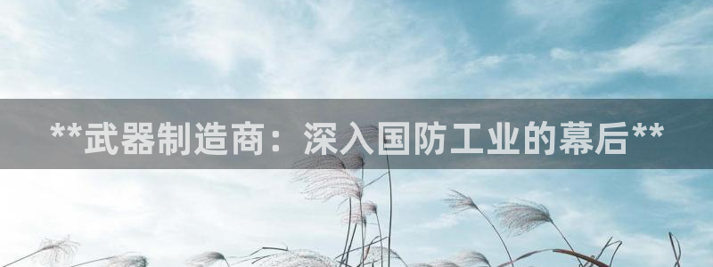 彩神v8平台正规吗：**武器制造商：深入国防工业的幕后**