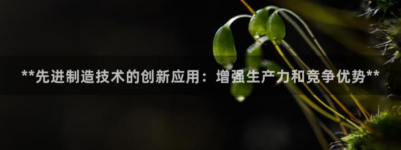 所有彩神购买首页都一样吗：**先进制造技术的创新应用：增强生产力和竞争优势**