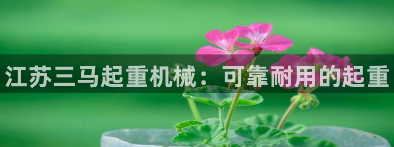 彩神是正规平台吗知乎：江苏三马起重机械：可靠耐用的起重