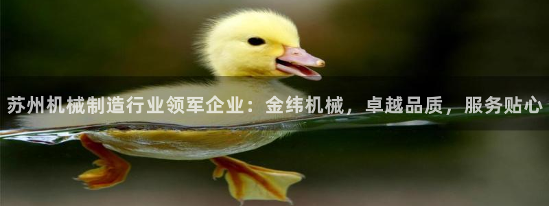 彩神viii官网：苏州机械制造行业领军企业：金纬机械，卓越品质，服务贴心