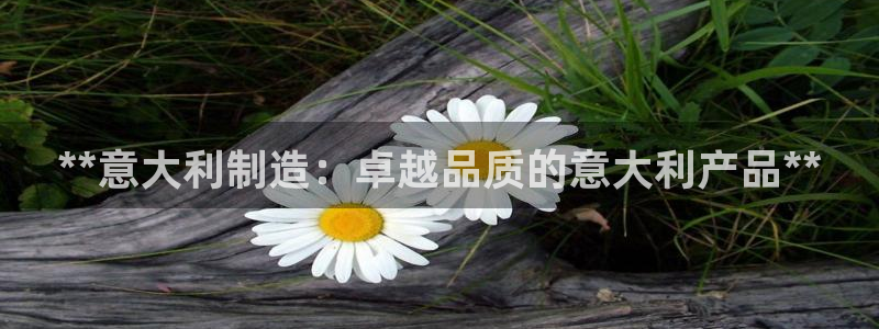 彩神ii官方网：**意大利制造：卓越品质的意大利产品**