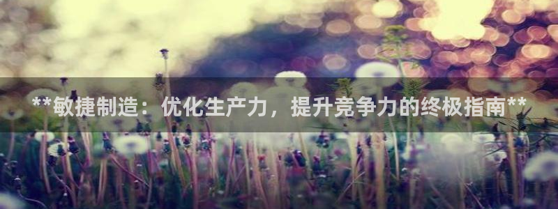 彩神输的钱是赌博还是诈骗：**敏捷制造：优化生产力，提升竞争