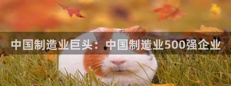 彩神v8下载网址