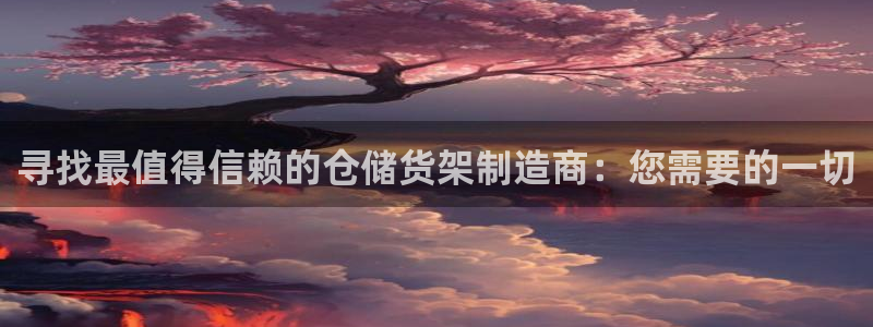 彩神v8app：寻找最值得信赖的仓储货架制造商：您需要的一切