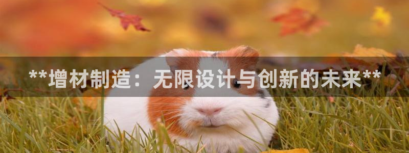 彩神数码科技有限公司：**增材制造：无限设计与创新的未来**