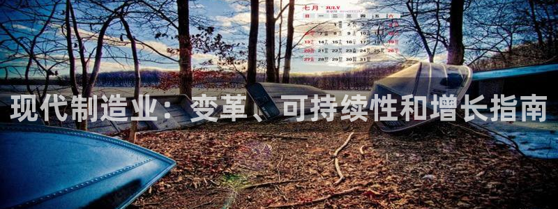 彩神是什么平台：现代制造业：变革、可持续性和增长指南