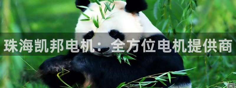 彩神iv真的能赚钱吗