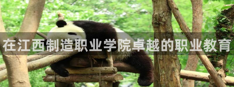 彩神赢钱了吗知乎：在江西制造职业学院卓越的职业教育