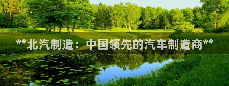 彩神是怎样一个平台：**北汽制造：中国领先的汽车制造商**