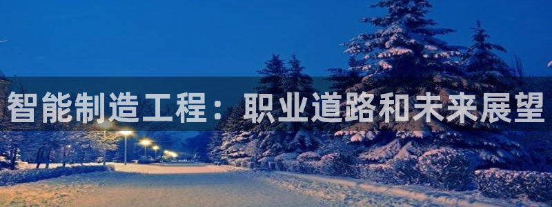 彩神vii购彩l心：智能制造工程：职业道路和未来展望