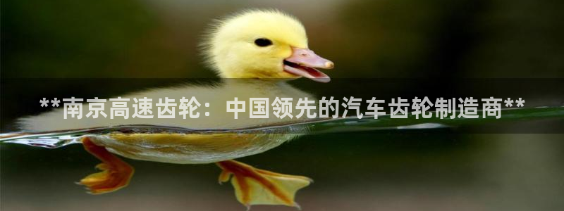 彩神这个平台是真的吗：**南京高速齿轮：中国领先的汽车齿轮制造商**