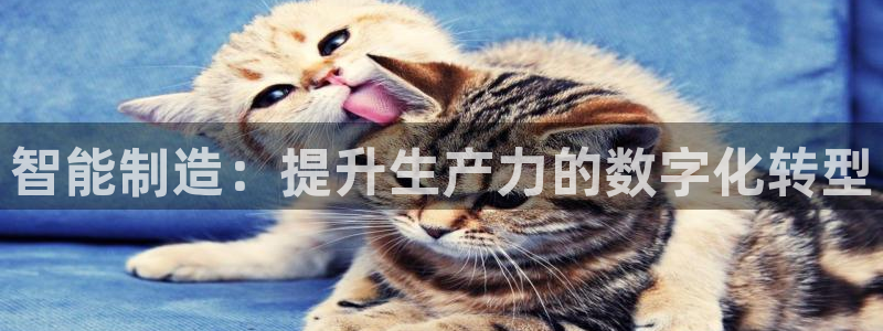 彩神vi官网版：智能制造：提升生产力的数字化转型
